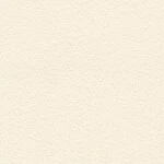 ベージュ  塗り壁調 トップコート  抗菌 表面強化 防かび  リリカラ LL-6560 旧品番LL-7666