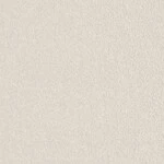 ライトグレー  塗り壁調 トップコート  抗菌 表面強化 防かび  リリカラ LL-6561 旧品番LL-7668