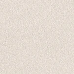 シャドーホワイト  塗り壁調 トップコート  抗菌 表面強化 防かび  リリカラ LL-6562 