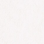 ホワイト  塗り壁調 トップコート  防かび  リリカラ LL-6569 旧品番LL-7698