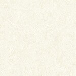 アイボリー  塗り壁調 トップコート  防かび  リリカラ LL-6577 旧品番LL-7688