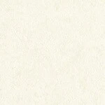 アイボリー  塗り壁調 トップコート  防かび  リリカラ LL-6577 旧品番LL-7688