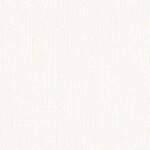 ホワイト  織物調 トップコート  防かび 抗菌  リリカラ LL-6590 旧品番LL-7739