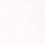 ホワイト  塗り壁調   抗菌 表面強化 防かび  リリカラ LL-6613 