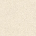 シャドーホワイト  塗り壁調   抗菌 表面強化 防かび  リリカラ LL-6614 