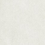 ライトグレー  塗り壁調   汚れ防止 抗菌 表面強化 防かび  リリカラ LL-6625 