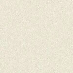 ライトアイボリー  塗り壁調   汚れ防止 消臭 抗菌 防かび  リリカラ LL-6707 