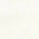 ホワイト  塗り壁調   汚れ防止 消臭 抗菌 防かび  リリカラ LL-6712 旧品番LL-7461