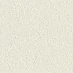 シャドーホワイト  塗り壁調   汚れ防止 消臭 抗菌 防かび  リリカラ LL-6716 