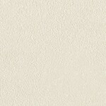 シャドーホワイト  塗り壁調   汚れ防止 消臭 抗菌 防かび  リリカラ LL-6718 