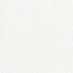 ホワイト  塗り壁調   汚れ防止 消臭 抗菌 防かび  リリカラ LL-6765 旧品番LL-7854