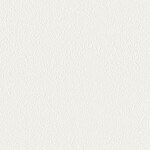 シャドーホワイト  塗り壁調 トップコート  防かび 抗菌 表面強化 消臭  リリカラ LL-6845 