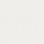 シャドーホワイト  塗り壁調 トップコート  防かび 抗菌 表面強化 消臭  リリカラ LL-6845 