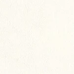 ライトアイボリー  塗り壁調 トップコート  防かび 抗菌 表面強化 消臭  リリカラ LL-6847 旧品番LL-7795