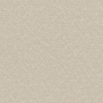 グレー  塗り壁調 トップコート  消臭 抗菌 防かび  リリカラ LL-6875 