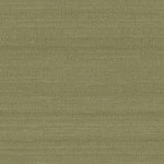 グリーン  織物調 トップコート  消臭 抗菌 防かび  リリカラ LL-6879 