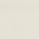 ライトグレー  塗り壁調   調湿効果 防かび  リリカラ LL-6905 旧品番LL-7585