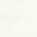 ホワイト  塗り壁調   汚れ防止 消臭 抗菌 防かび  リリカラ LL-7461