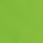 グリーン  塗り壁調 トップコート  防かび  リリカラ LL-7729