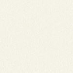 ホワイト  塗り壁調 トップコート  防かび 抗菌  リリカラ LLA-6049 