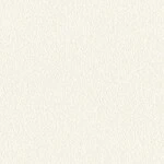 ホワイト  塗り壁調 トップコート  防かび 抗菌  リリカラ LLA-6049 