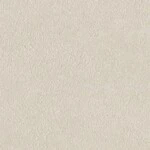 ライトグレー  塗り壁調 トップコート  防かび 抗菌  リリカラ LLA-6054 