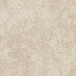 ライトグレー  コンクリート・モルタル   防かび  リリカラ LLA-6058 