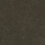 ブラック  塗り壁調 トップコート  抗菌 表面強化 防かび  リリカラ LW-1028 