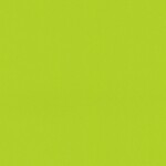 グリーン  塗り壁調   汚れ防止 抗菌 表面強化 防かび  リリカラ LW-1420 