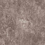 ダークブラウン ノンワックスコーティング＋抗菌 サンゲツ PFC-2243 旧品番PF-22345