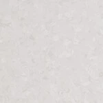 ライトグレー ノンワックスコーティング+耐動荷重 サンゲツ PG-24193 旧品番PG-22202