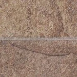 ブラウン 抗菌＋防滑性 サンゲツ PMC-2109 旧品番PM-22168