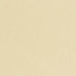 ベージュ ノンワックスコーティング＋抗菌 サンゲツ PPC-2314 旧品番PP-22384