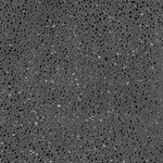 ブラック ストーンタイル 2.83㎡ 表層透明ビニル層  東リ PST2216