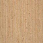 ライトブラウン ウッド・他  東リ PWT4309 旧品番PWT3322