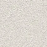 ライトグレー 塗り壁調  防かび 抗菌 表面強化 撥水  サンゲツ RE53058