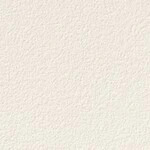 アイボリー 塗り壁調  防かび 抗菌  サンゲツ RE53064