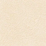 ベージュ 塗り壁調  防かび 抗菌  サンゲツ RE53073