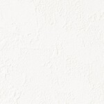 シャドーホワイト 塗り壁調  消臭 抗菌 防かび  サンゲツ RE53081