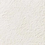 シャドーホワイト 塗り壁調 ウレタンコート 防かび 抗菌 表面強化 撥水  サンゲツ RE53180