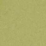 グリーン 塗り壁調 ウレタンコート 表面強化 防かび  サンゲツ RE53399
