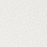 シャドーホワイト 塗り壁調  防かび 抗菌  サンゲツ RE53443