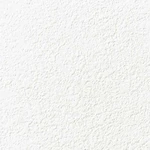 ホワイト 塗り壁調  防かび 抗菌 表面強化 撥水 消臭  サンゲツ RE53650