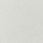 シャドーホワイト 塗り壁調 スーパー耐久性 汚れ防止 耐久 抗菌 表面強化 防かび  サンゲツ RE53731