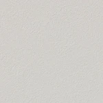 ベージュ 塗り壁調  調湿効果 防かび  サンゲツ RE53830