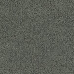 ダークグレー 塗り壁調  防かび 抗菌 表面強化 撥水  サンゲツ RE55006 