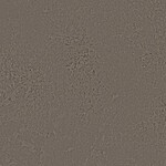 グレー 塗り壁調  防かび 抗菌 表面強化 撥水  サンゲツ RE55095 