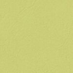 グリーン 塗り壁調 ウレタンコート 表面強化 防かび  サンゲツ RE55149 