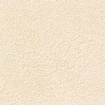 ベージュ 塗り壁調  防かび 抗菌  サンゲツ RE55175 旧品番RE53073