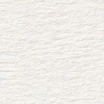 シャドーホワイト 塗り壁調  防かび 抗菌  サンゲツ RE55177 旧品番RE53087